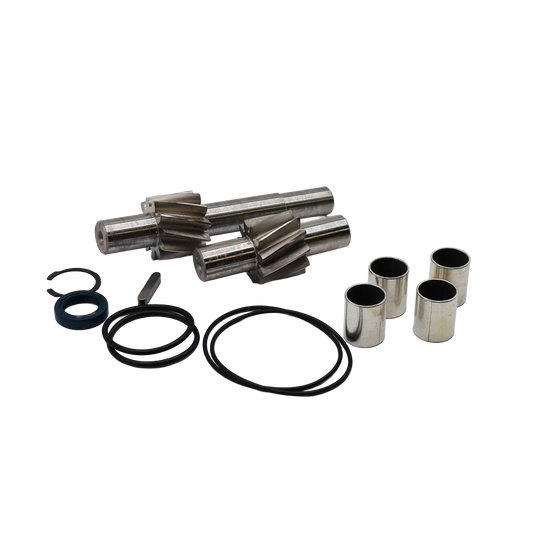 Oil pump repair kit series 6 - Innio Jenbacher (593500)