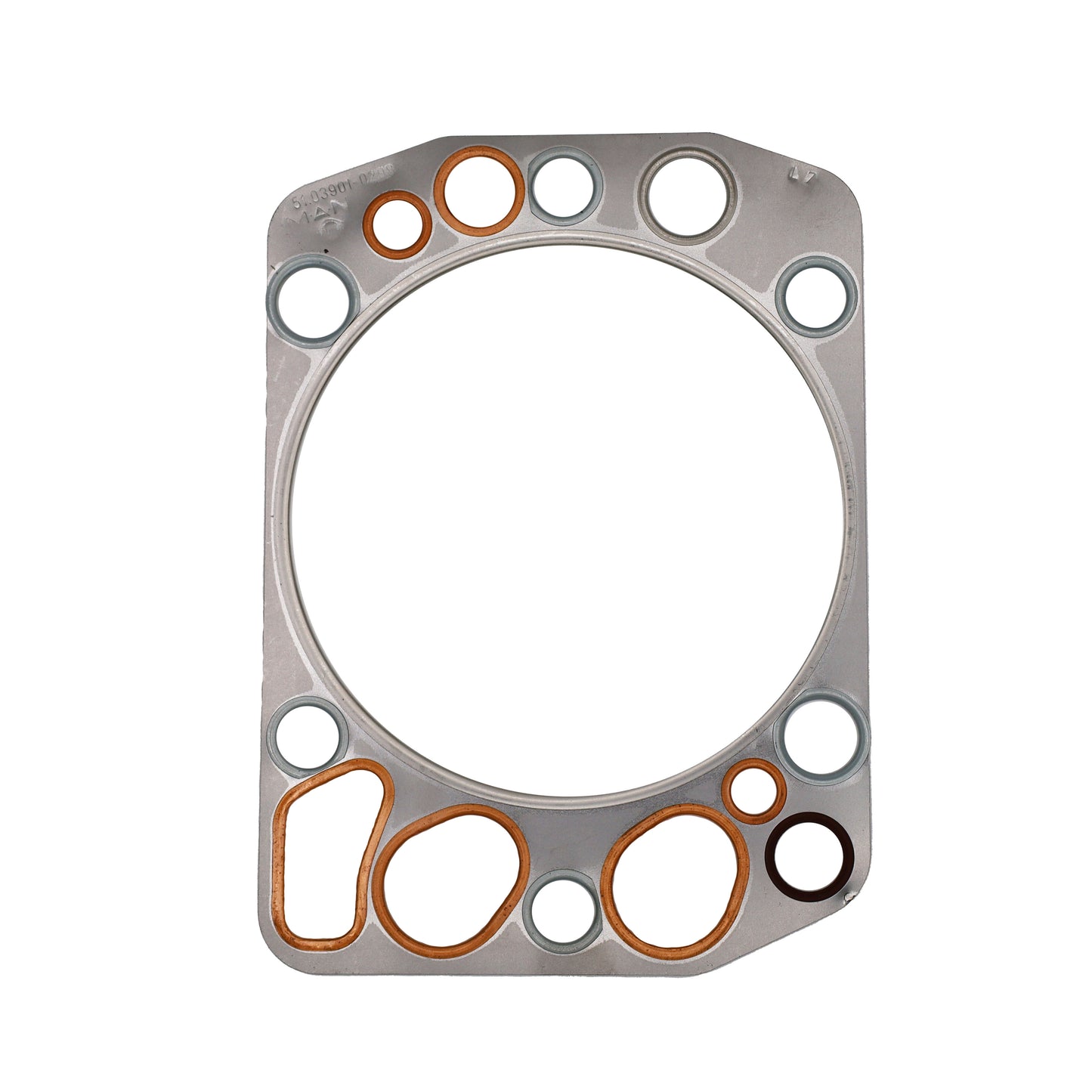 Kit smeriglio - MAN (51009006639)