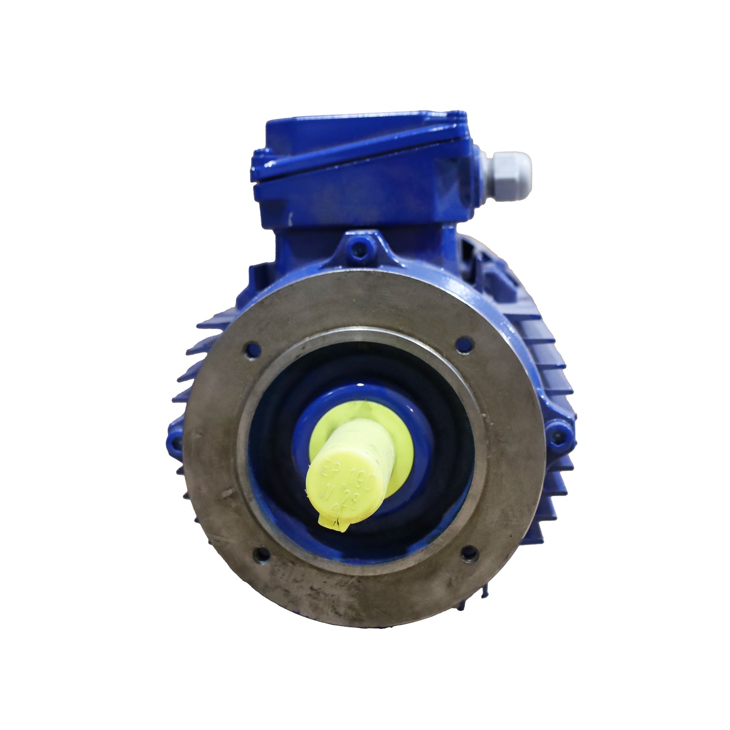 Electric motor 1.5Kw (2SIEK100L6)