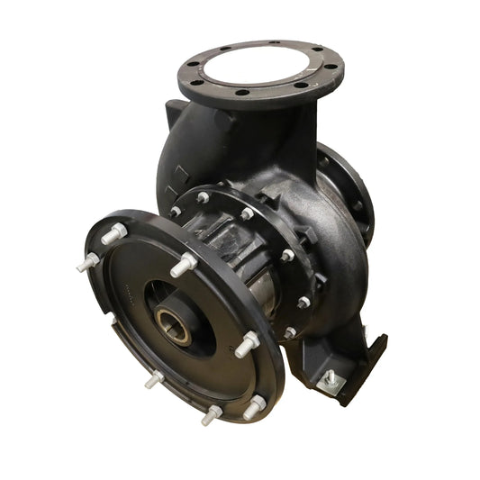 Pompante assenudo NB150-250/282 CF1ABQQE - Grundfos (99433978)