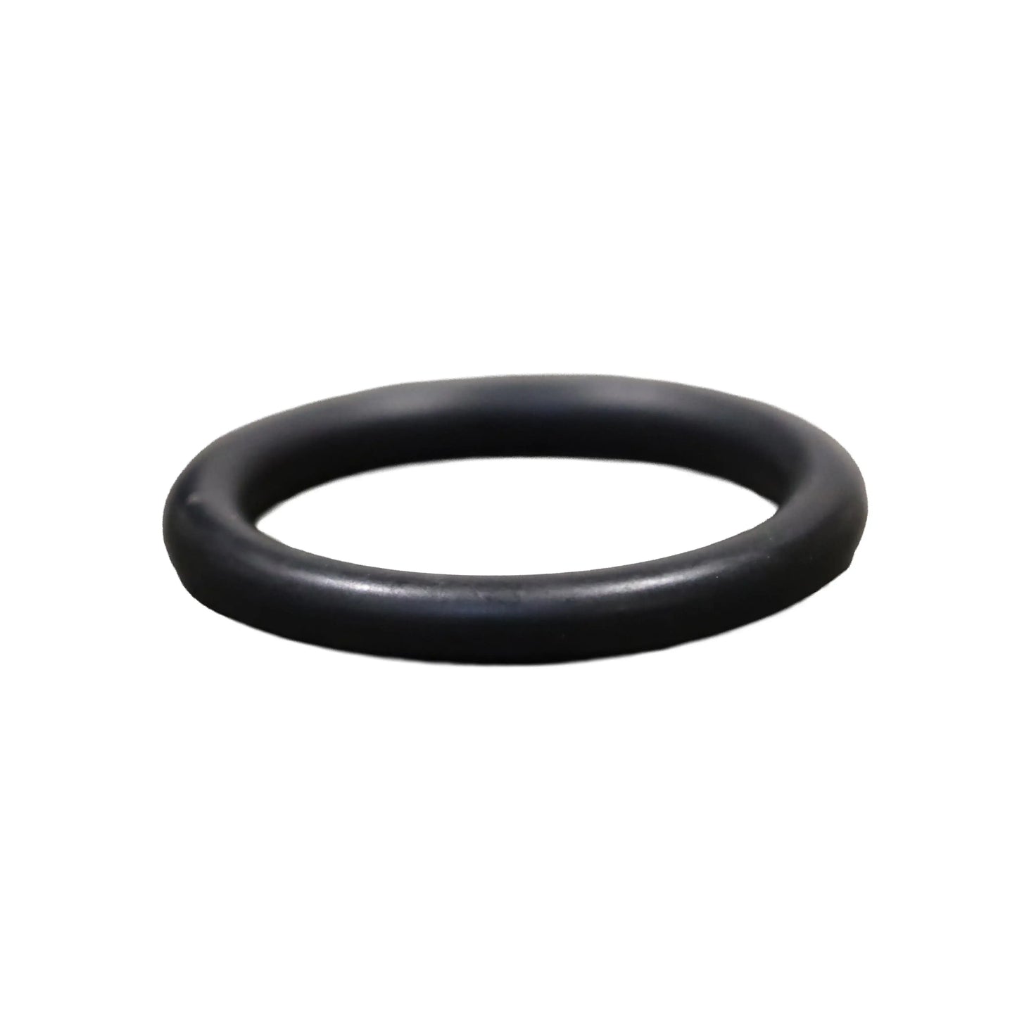 O-ring para filtro de purga C75/4 - Innio Jenbacher (254076)