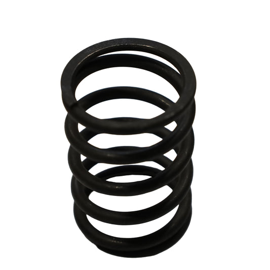 Molla valvola esterna Serie 2/3/4 - Innio Jenbacher (174473)