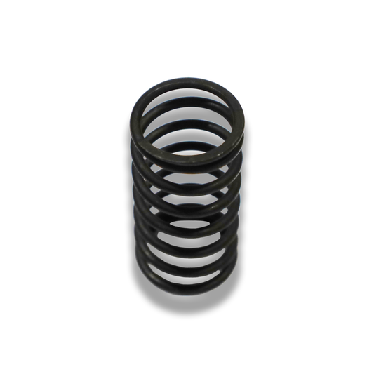 Molla valvola interna serie 2/3/4 - Innio Jenbacher (174469)