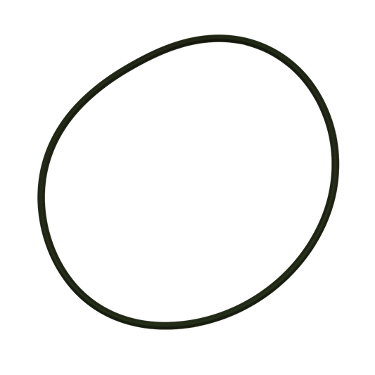 O-ring canna cilindro - Deutz (01180667)