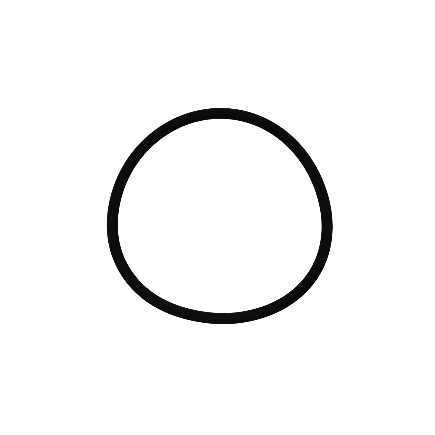 O-Ring Di55 - Innio Jenbacher (105829)