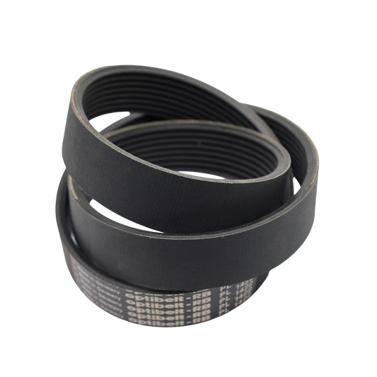 Cinghia POLY-V CP 560 L8 - Bianchi industrial (CP560L8)