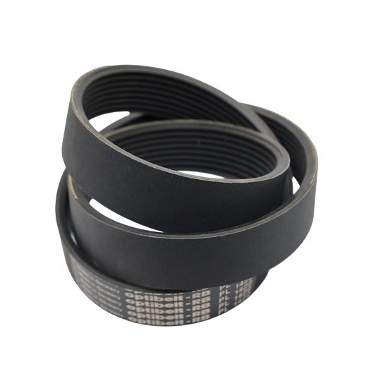Courroie POLY-V CP 560 L8 - Bianchi industrial (CP560L8)