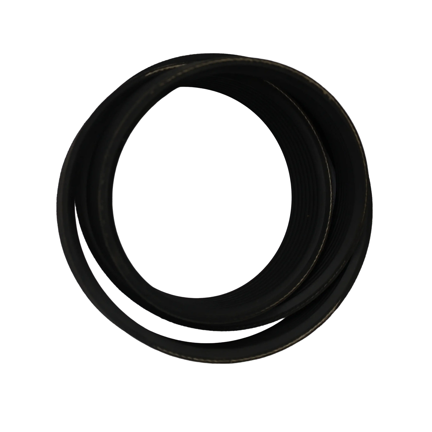 Courroie POLY-V CP 560 L8 - Bianchi industrial (CP560L8)