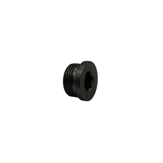 Bouchon R1 L16 - Innio Jenbacher (393954)