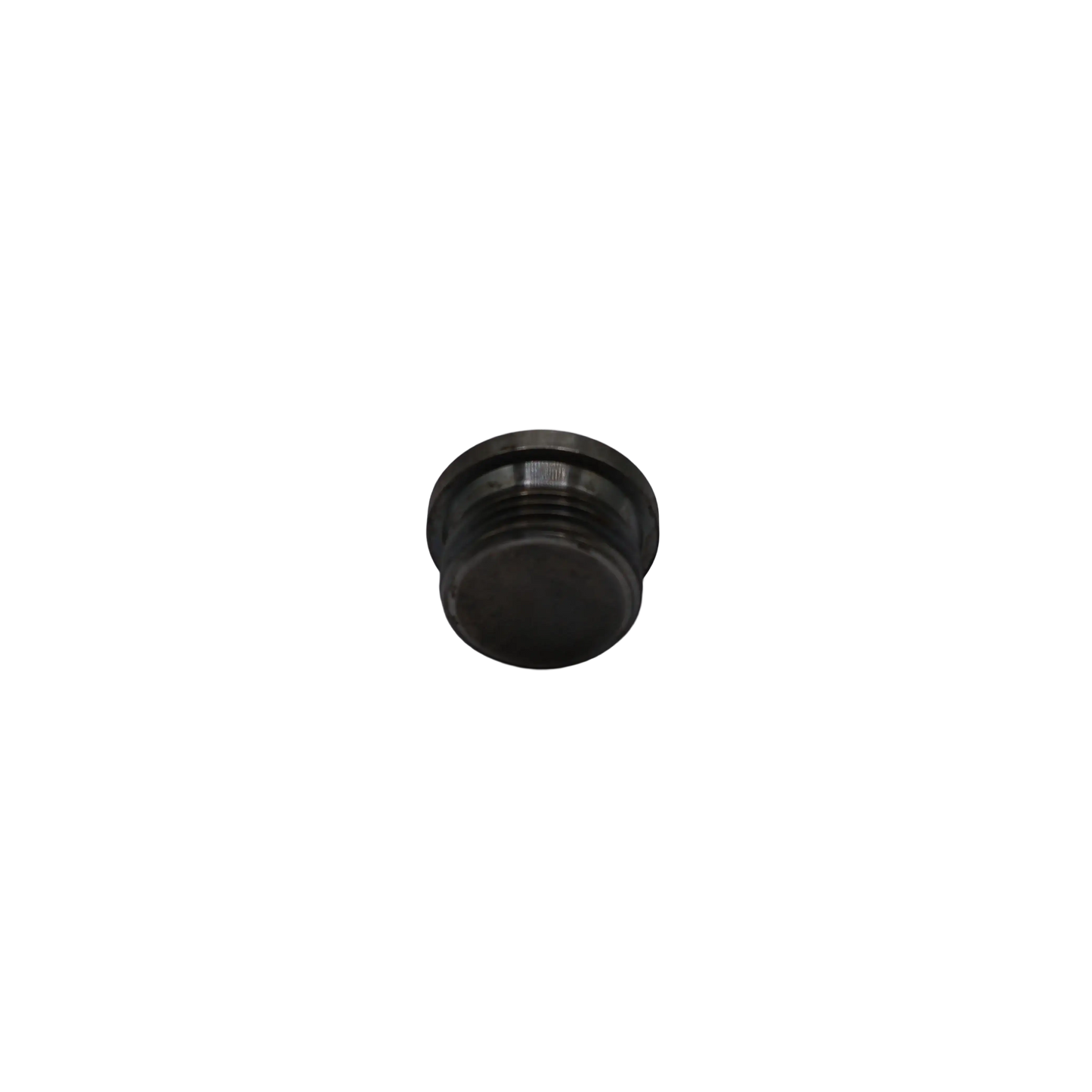 Bouchon R1 L16 - Innio Jenbacher (393954)
