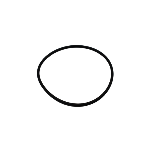 O-Ring - Innio Jenbacher (105849)