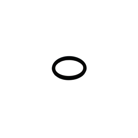 O-ring - Innio Jenbacher (164041)