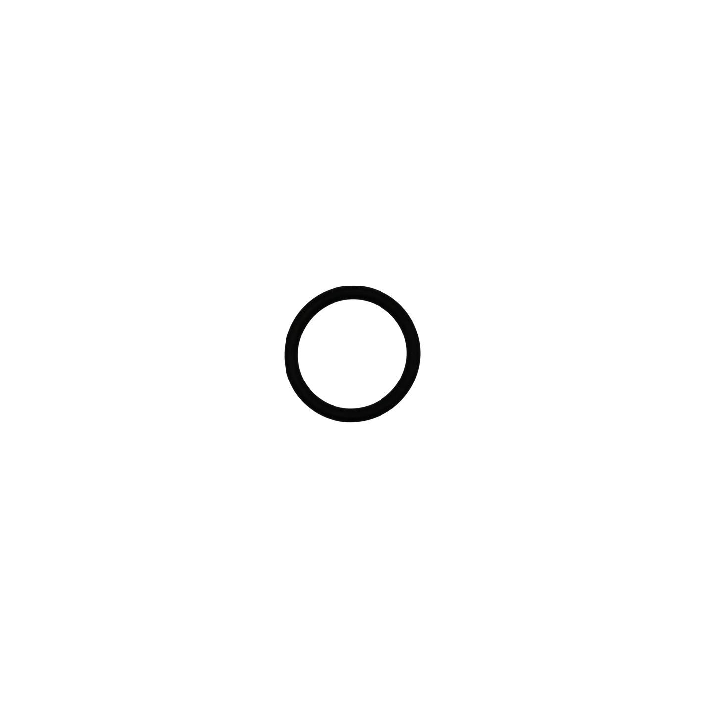 O-Ring - Innio Jenbacher (164041)