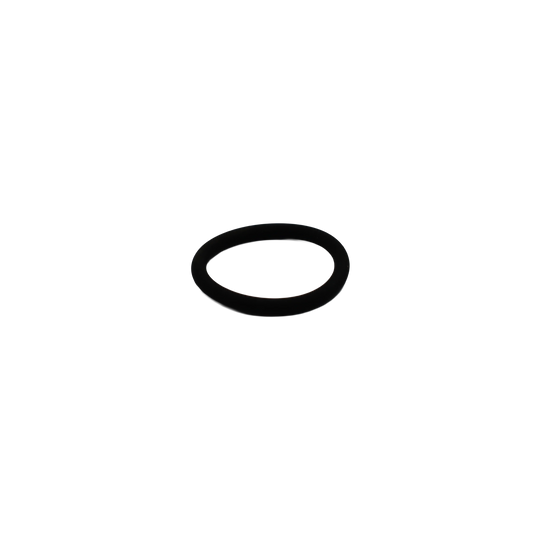 O-ring - Innio Jenbacher (100015)