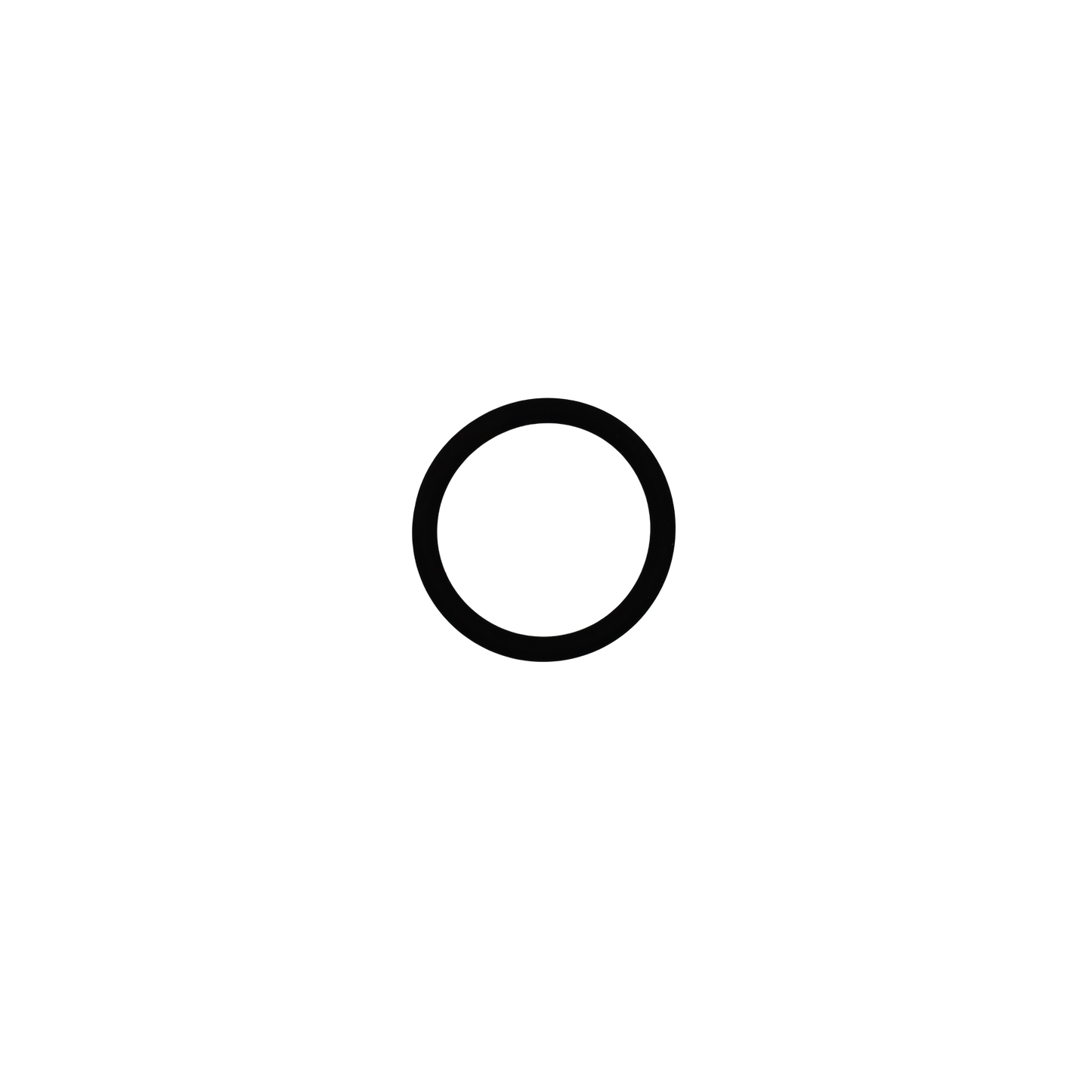 O-ring - Innio jenbacher (100015)