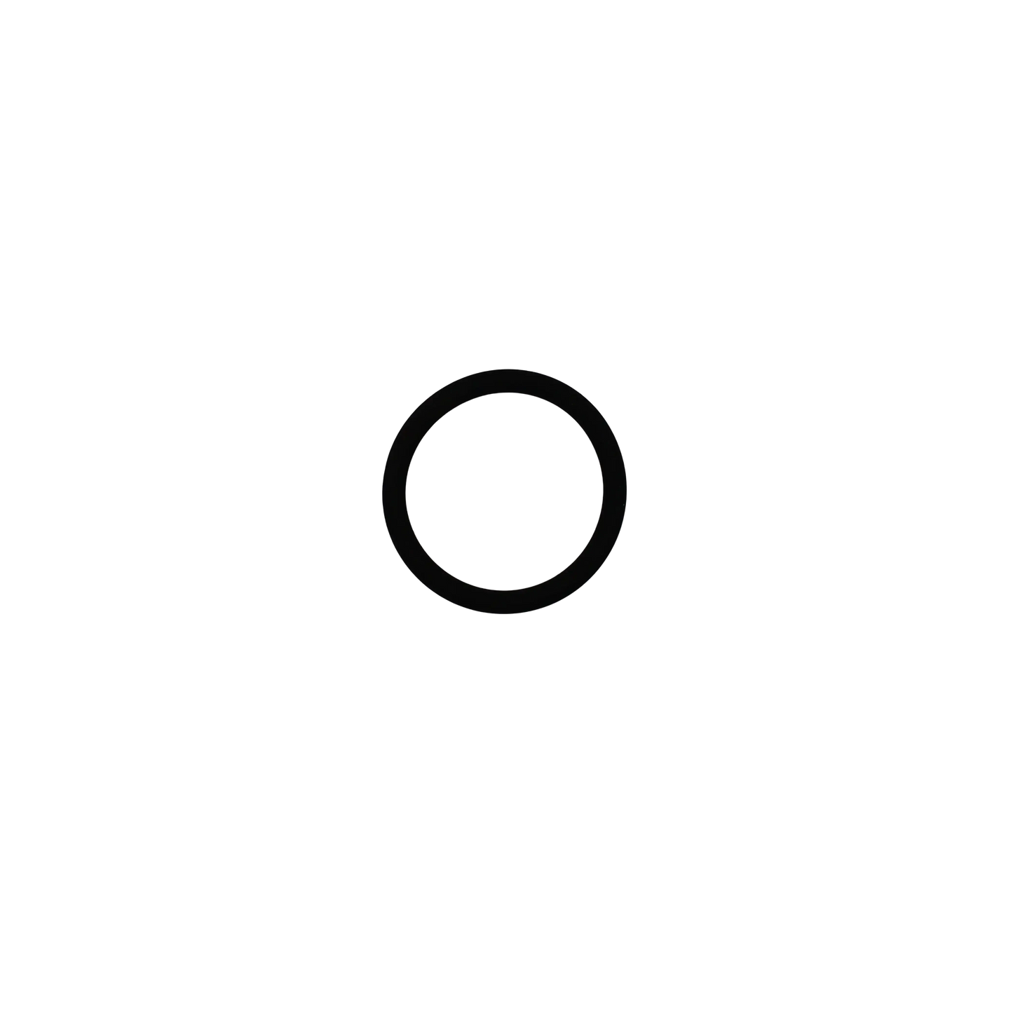 O-Ring - Innio Jenbacher (100015)