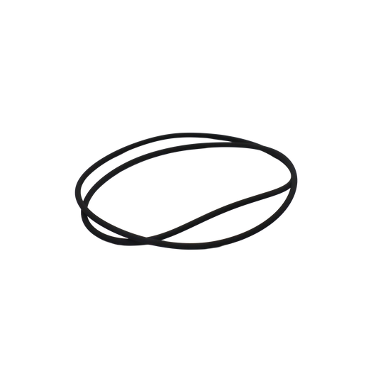 O-ring ORV 271 - Bianchi Industrial (291939)