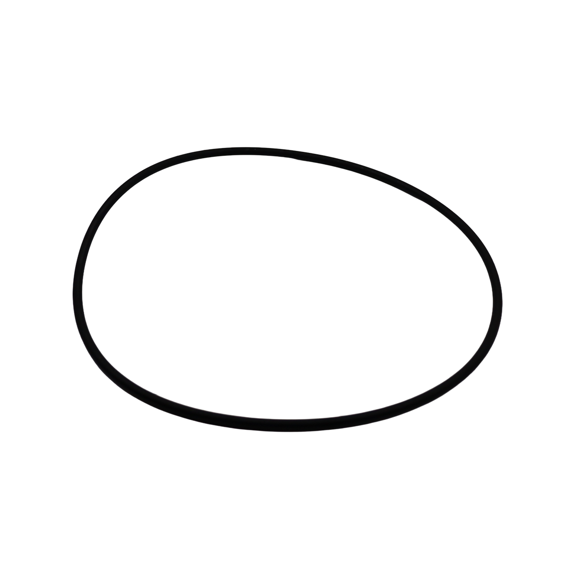 Dichtungs-O-Ring - Innio Jenbacher (1214480)
