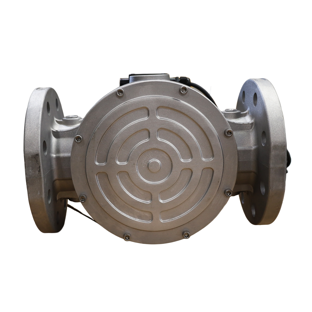Valvola gas DN80 XVP0905005 flangiata – Tecnogas S.r.l. (60553B24VDC)