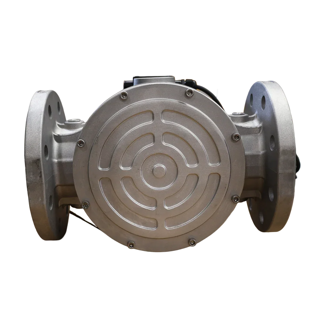 DN80 Flanged Gas Valve – Tecnogas S.r.l. (60553B24VDC)