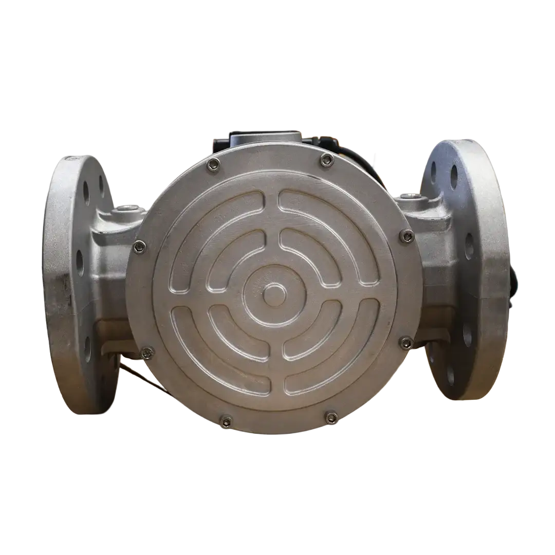 Vanne gaz DN80 XVP0905005 à bride – Tecnogas S.r.l. (60553B24VDC)
