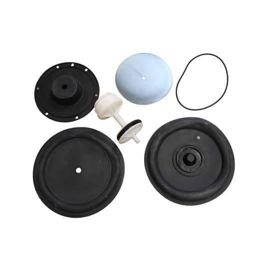 Kit riparazione FRS DN80 - KARL DUNGS SRL (091868)
