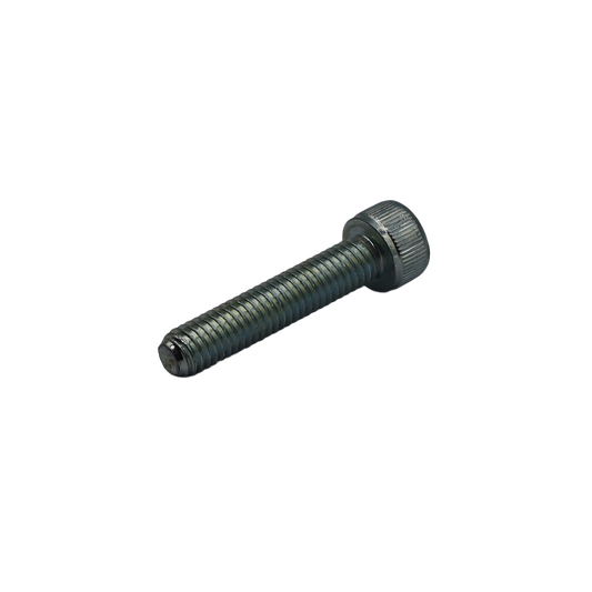 Vite cilindrica esagonale M06x30mm 10 cl 8.8 SSTL - Innio Jenbacher (115225)