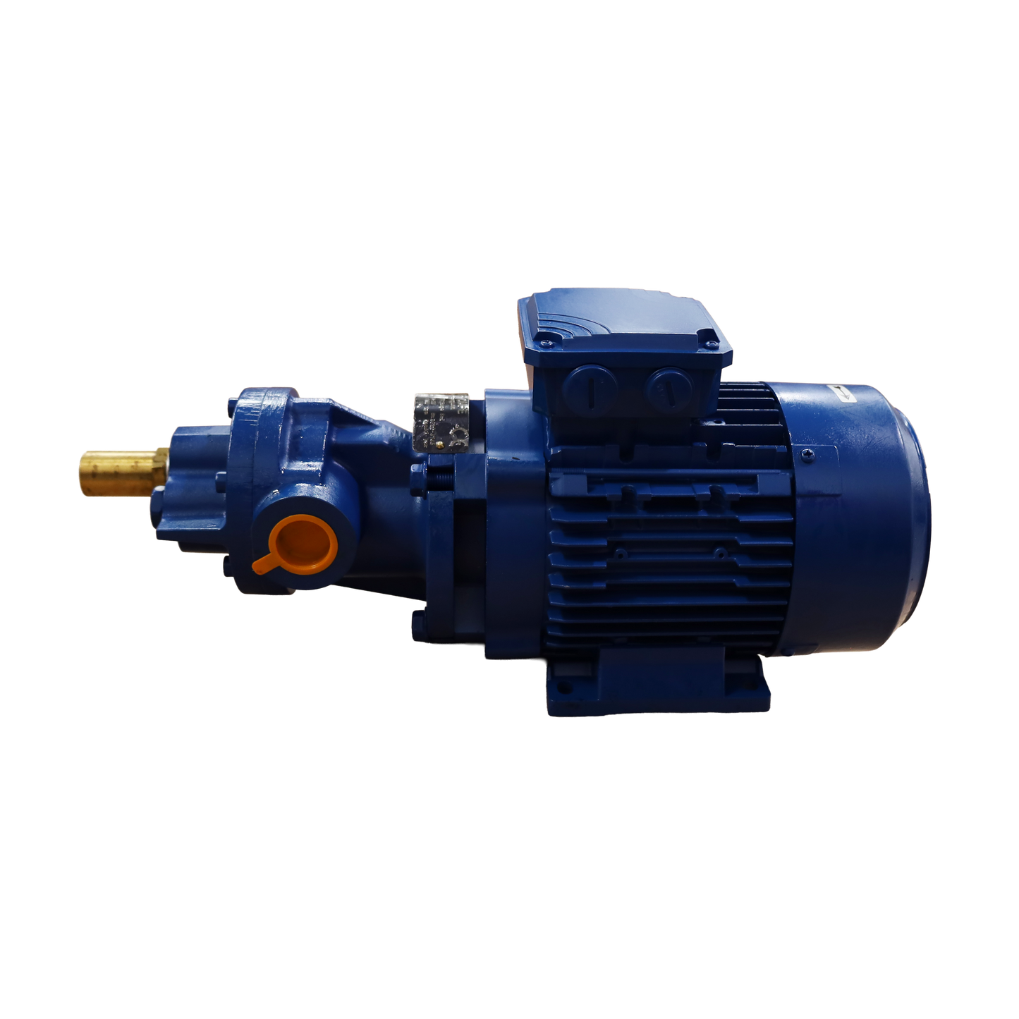 Pompe à huile 0,3 kW 400 V courant alternatif - GVR Pompe srl (BMF10-6V)