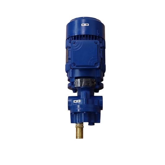 Pompa dell'Olio 0.3 Kw 400 Volt Corrente Alternata - GVR Pompe srl (BMF10-6V)