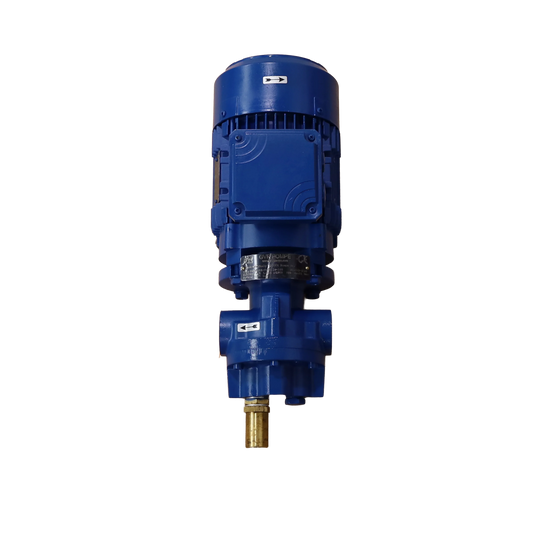 Oil Pump 0.3 Kw 400 Volt Alternating Current - GVR Pompe srl (BMF10-6V)