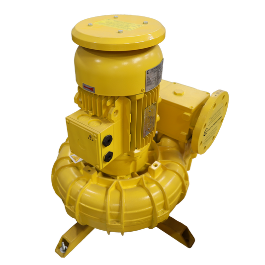 Soffiante CL46/1 VG motore 4kW REV - Mapro s.p.a. (060-120-003-00009)