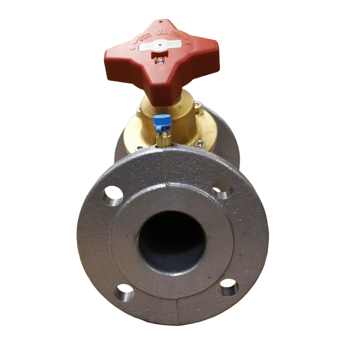 Vanne DN065 PN16 - Innio Jenbacher (109936)