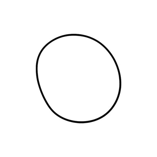 O-ring filtro olio serie 4/6 - Innio Jenbacher (386808)