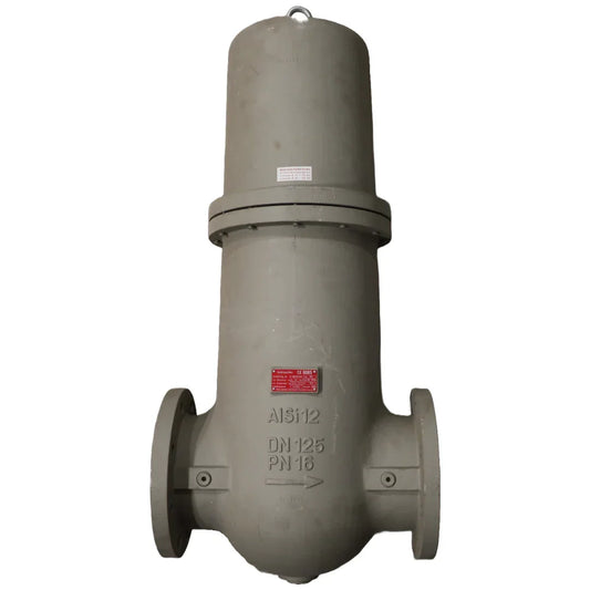 Filtr gazowy VZF DN125 - Innio Jenbacher (567754)