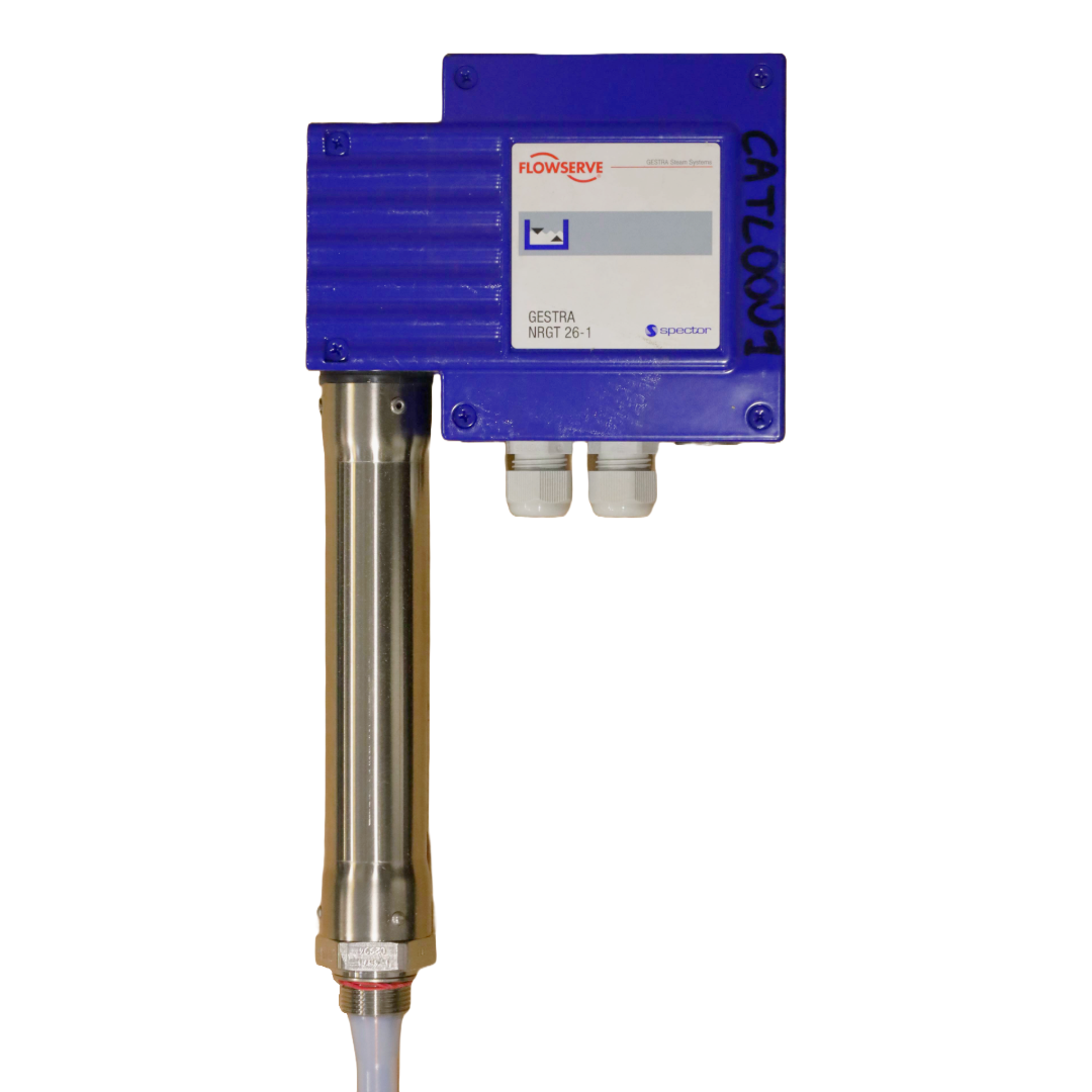 Boiler level transmitter NRGT 26-1 Flowserve (CATL0001)