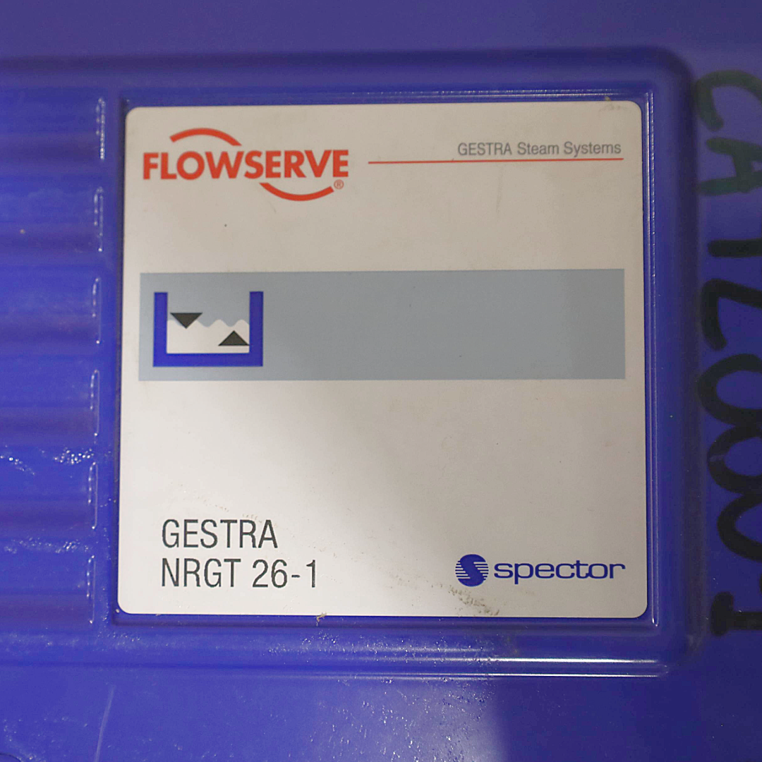 Trasmettitore livello caldaia NRGT 26-1 Flowserve - Gestra (CATL0001)