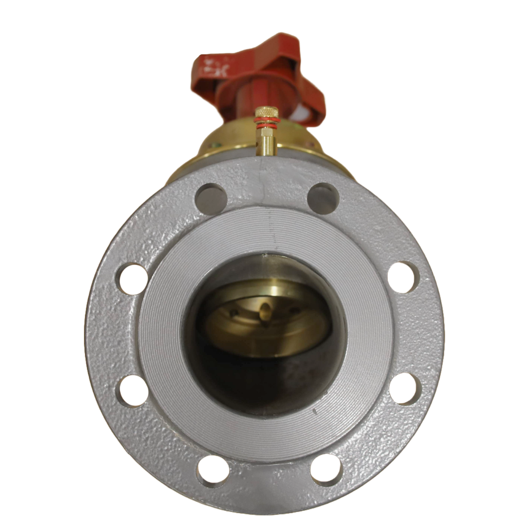 Pressure relief valve DN100 (606914)