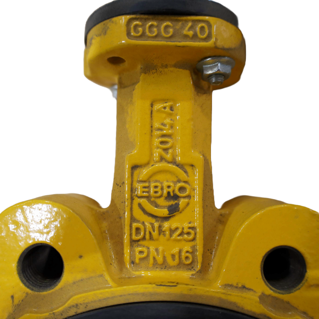 Butterfly valve DN125 16BAR DVGWNG-4313BS0106 (526734)