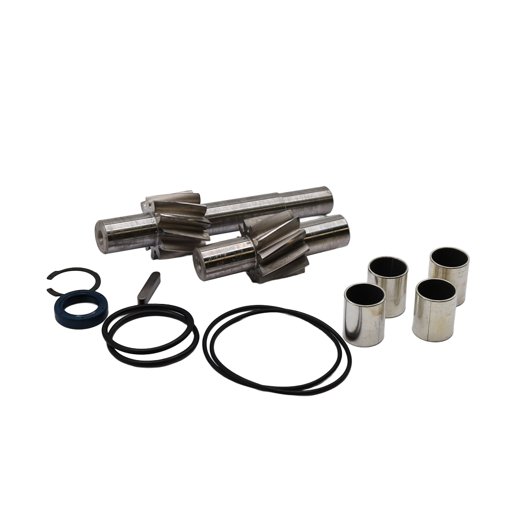 Kit riparazione pompa olio serie 6 - Innio Jenbacher (593500)
