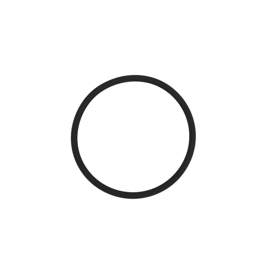 O-ring (319744)