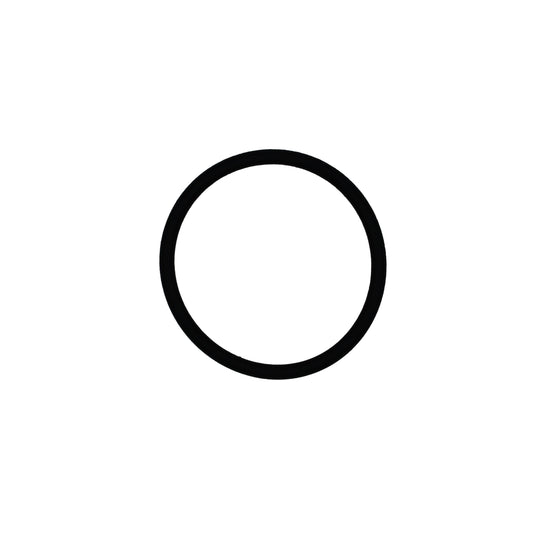O-ring (376475)