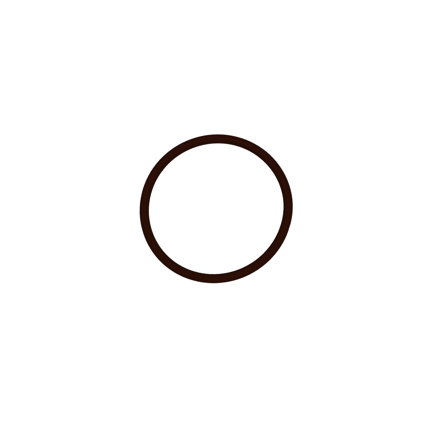 O-ring precamera (456735)