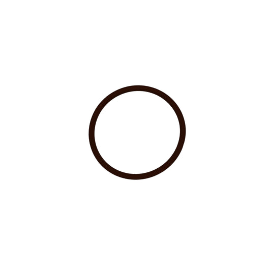 O-ring precámara (456735)