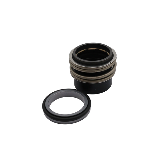 Kit tenuta BAQE GG - Grundfos (96306475)