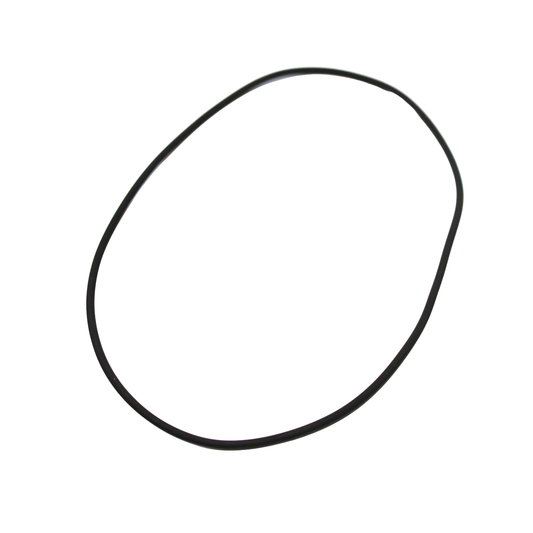 O-ring per accoppiamenti meccanici (ORV 263) (456712)