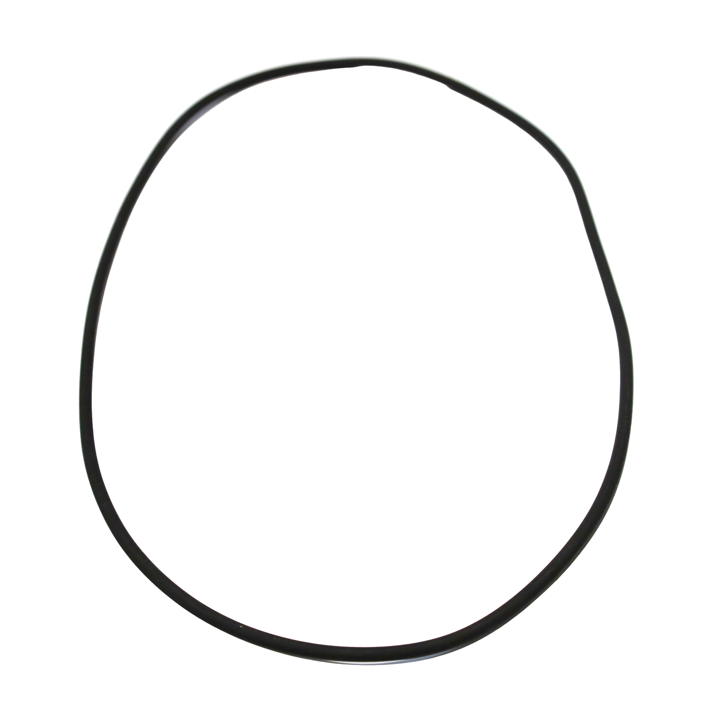 O-ring per accoppiamenti meccanici (ORV 263) (456712)