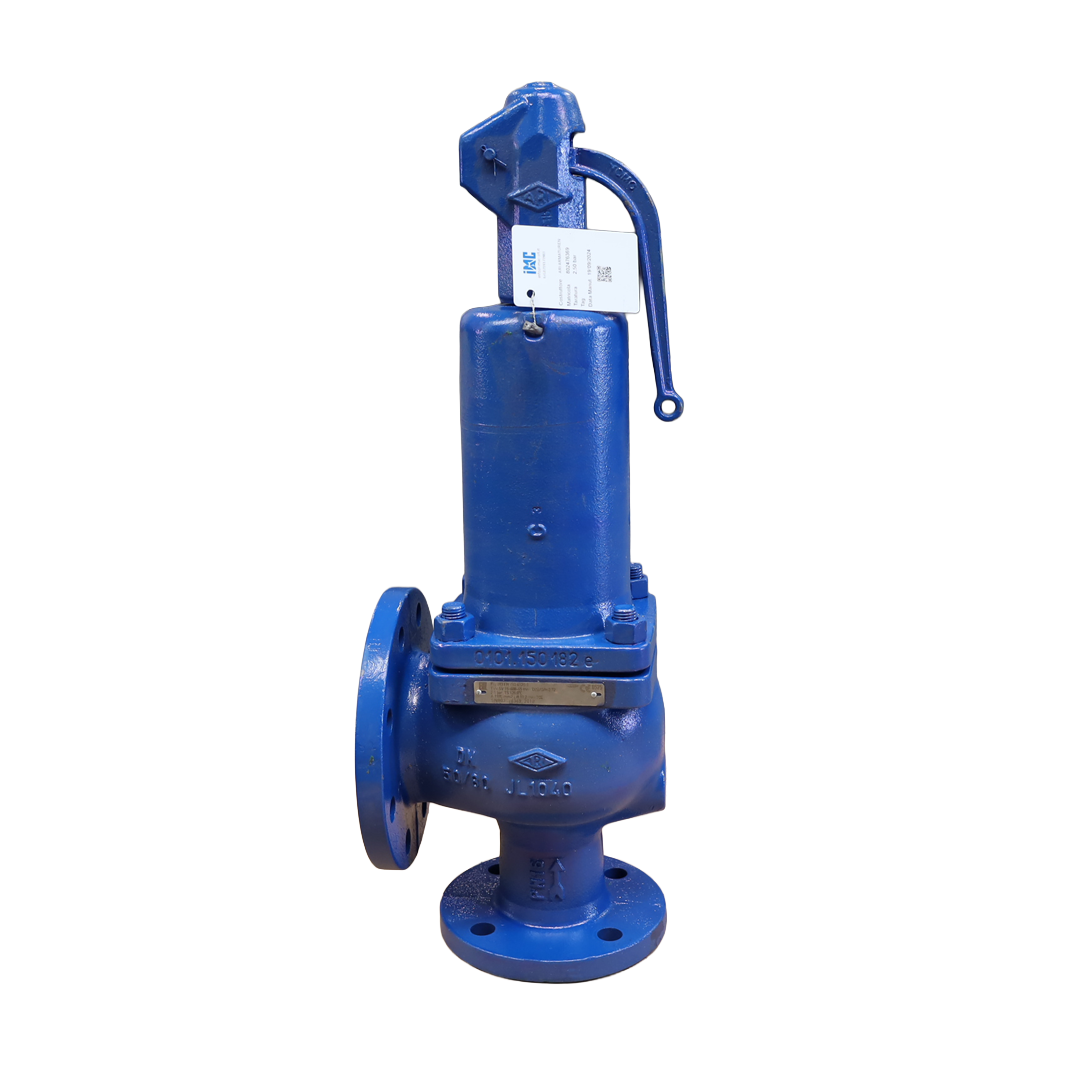 Valvola di sicurezza Fig. 903 DN50x80 2,5bar REV - Innio Jenbacher (320732)