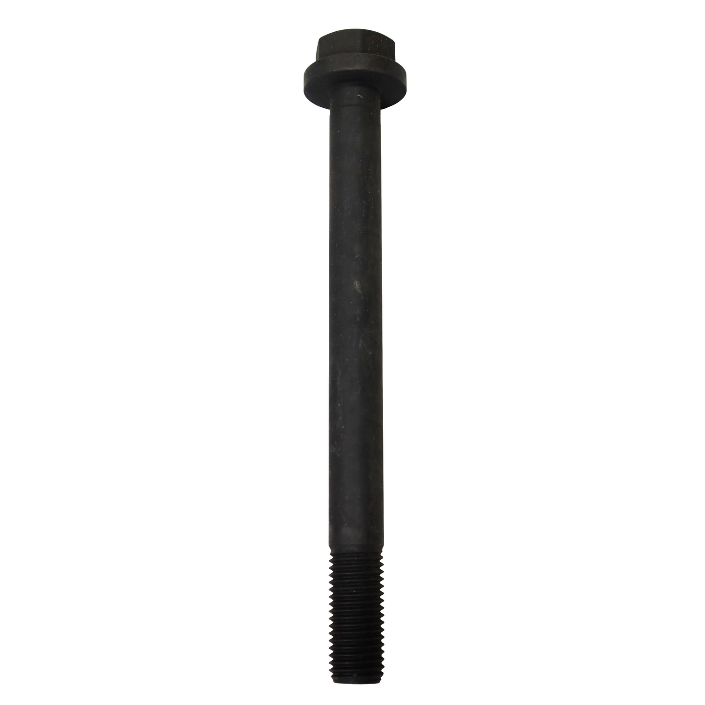 Vite esagonale con rondella M20x220mm (361236)