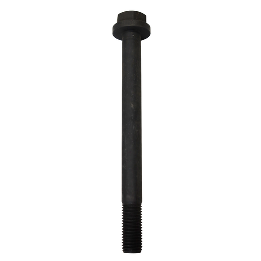 Vite esagonale con rondella M20x220mm (361236)