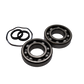 Zestaw łożysk 6310 Z C4 do pompy Grundfos - Grundfos (96796811)